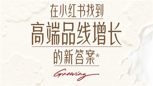 对话小红书｜在红海中，与“Pro妈妈”做价值同盟